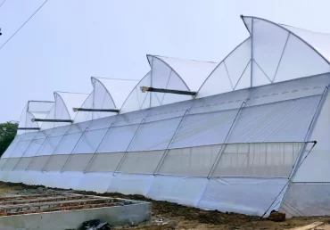 Greenhouse Farming Vs Traditional Farming: Which is More Profitable?